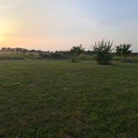 Campspace mit Blick über Wildblumenwiese in Räckelwitz, Sachsen