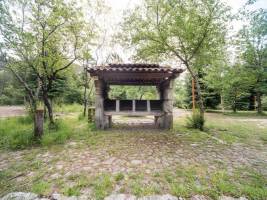 Zusammenkommen in der Natur