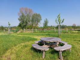 Ländlicher Campingplatz in der Nähe unserer Schafe