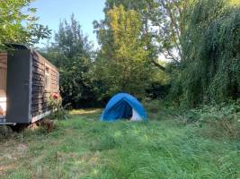 Sehr ruhige Wiese, Natur, Ruhe, 15 Minuten vom Meer entfernt