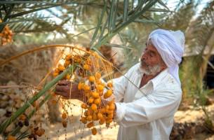 Rondreis EGYPTE - 22 dagen; Verrassend Egypte