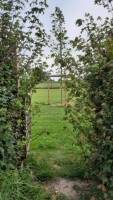 Malerischer und familienfreundlicher Campingplatz mit weitem Aus