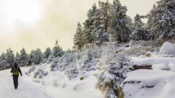 Rathaushotels Oberwiesenthal