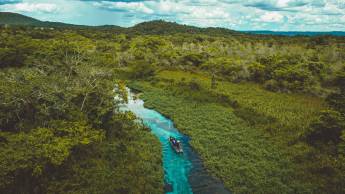 Discover the Nature of Brazil