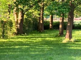 Campingplatz in Laarne, Ostflandern