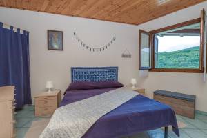 Blue&Green House With Shared Pool