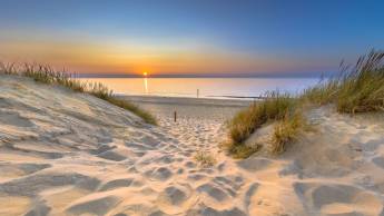 Hotel Renesse