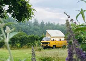 Platz für Sie und Ihren Transporter in der Veluwe in der Nähe vo