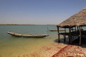 8-daagse rondreis Avontuurlijk Gambia & Senegal
