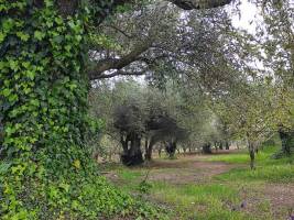 Campingplatz in Carinola, Caserta