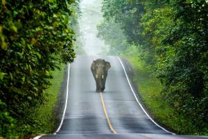 15-daagse rondreis Hart van Thailand