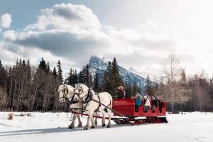 Sledetocht in Banff