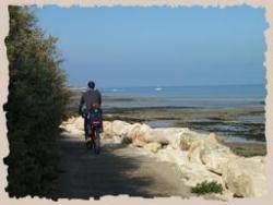 Camping Les Pérouses Du Phare