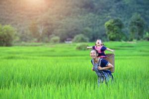 2 weken rondreis Vietnam