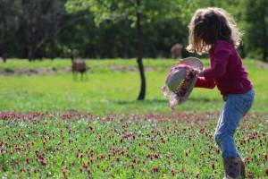 Campingplatz in Seillans, Provence-Alpes-Côte d’Azur