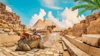 Rondreis Cairo, Aswan en Luxor