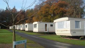 Camping Forest Glade Holiday Park