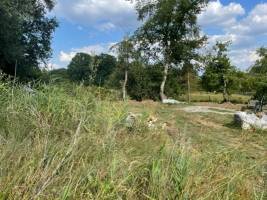 Private Campingplätze in der Nähe von Hasselt (Kiewit, Pukkelpop