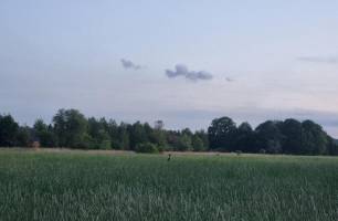 Stellplatz am Schrotholzhaus
