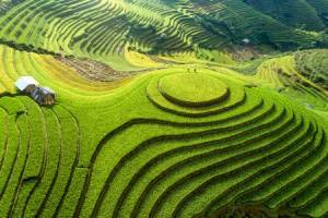 Rondreis VIETNAM - 23 dagen; Franse sfeer in tropisch jasje