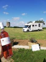 Campingplatz in Nouvelle-Aquitaine mit Blick auf die Weinberge
