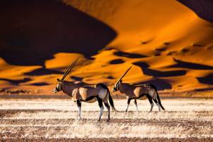 Sossusvlei, hotels en omgeving