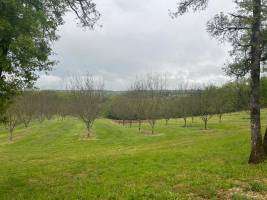 Campingplatz in Cuzance, Okzitanien