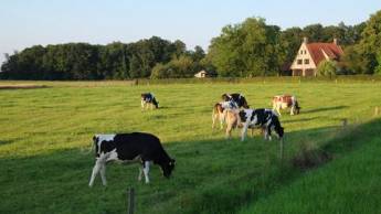 7 daagse Fietsreis Overijssel & Duitsland