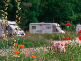 Camperplaats XL zonder hond