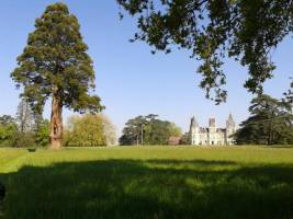 Romantischer Campingplatz im Pays de la Loire, umgeben von Natur