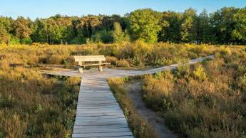 Hotel Mastbosch Breda