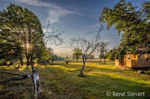 Auszeit und Stille in der Elbtalaue