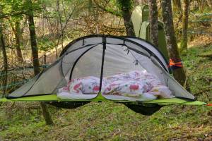 Probieren Sie die Sterne im Wald