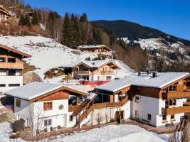 Alpensteinbock Saalbach D