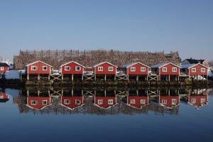 9F Ontdek het vissersdorp Svinøya (01sept - 08apr)