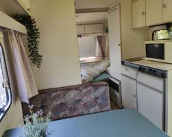 Nini's Weinrebe mit Sauna