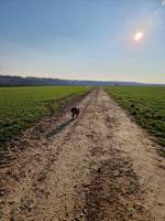 Campingplatz in La Loge, Hauts-de-France
