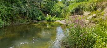 Campingplatz in Castelletto d'Orba, Alessandria