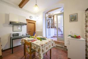 Gufo - Navy- 100m near lake