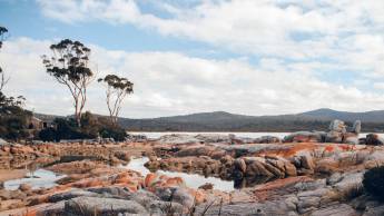 Explore Spectacular Tasmania