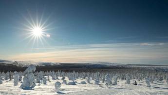Kieppi Wilderness hotel winteravontuur