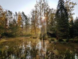 Campingplatz Mitten im Wald, neben dem Teich