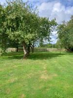 Der Bauerngarten