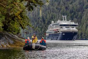 HX Expeditie Alaska & British Columbia | Inside Passage, beren e