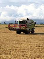 Bauernhofcamping in Münzenberg bei Gießen