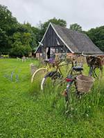 Ihr Wohnmobilstellplatz liegt in der Landschaft von Winterswijk.