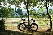 Camping Le Pastory