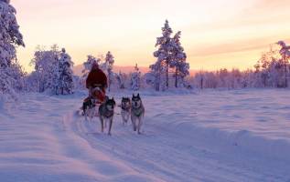 8 daagse excursiereis Winter Week Saariselka