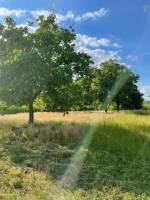 Gemütlicher privater Campingplatz in einem Obstgarten