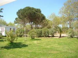 Camping Cap Sud